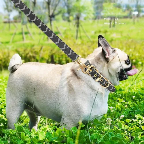 Vista 4 de Juego de collar y correa de cuero para perro, correas de collar de perro con patrón de cuadros, hebilla de metal ajustable y duradera para perros