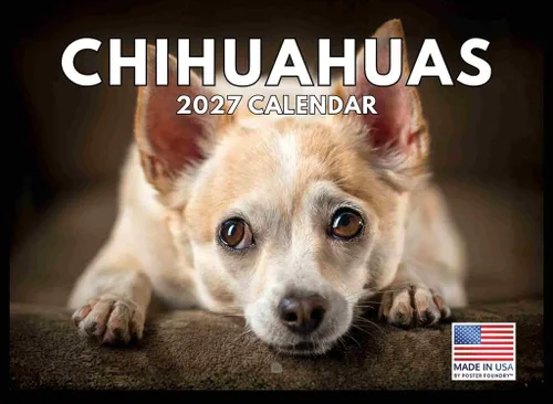 Vista 51 de Calendario Akita 2026 mensual de pared de 12 meses, fabricado en Estados Unidos