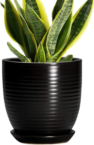 Vista 37 de Macetas de cerámica de 6 pulgadas para plantas, macetas de cerámica con orificio de drenaje y platillo, maceta para plantas de interior, maceta