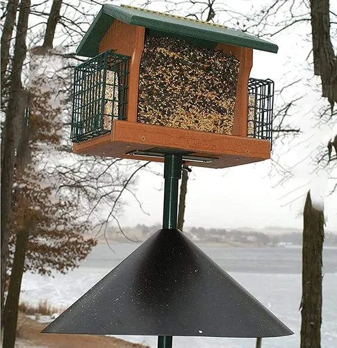 Vista 3 de Deflector envolvente de ardilla para poste de comedero de pájaros, protector único de 16 pulgadas, protege los comederos colgantes para pájaros