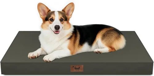 Vista 122 de Cama para perros y gatos pequeños, impermeable, para jaula de huevos, espuma ortopédica con funda Oxford lavable y extraíble, color verde Amy