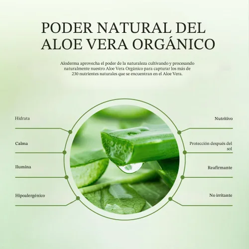 Vista 4 de Aloderma Gel de aloe vera 99% orgánico fabricado dentro de las 12 horas de la cosecha, refrescante gel de aloe vera de tamaño de viaje para cara