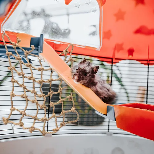 Vista 4 de Balacoo Loro red de escalada hámster juguete hámster masticar juguetes loro columpio colgante juguete hamaca colgante perca pájaro escalada red