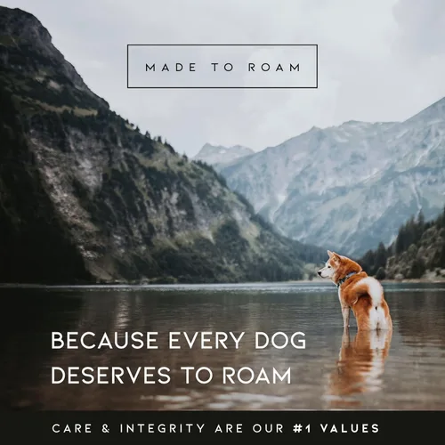 Vista 6 de MADE TO ROAM Arnés Explorer de alta calidad para perro, arnés en forma de Y con nailon duradero ajustable, acolchado suave, hebillas de metal