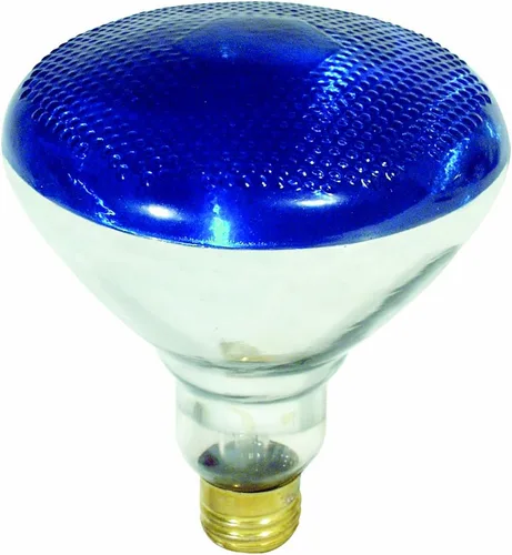 Vista 3 de Feit Electric 100R20/S-12 100 vatios 12 voltios piscina/spa R20 corto inundación reflector bombilla