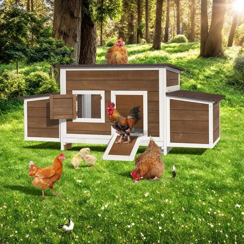 Vista 7 de DWVO Gallinero de madera maciza para 4 a 6 pollos, corral de madera al aire libre con 2 cajas nido, jaula de aves de corral, conejera, pato