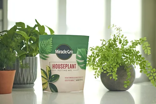 Vista 3 de Miracle-Gro Mezcla para macetas para plantas de interior - Suelo fertilizado, diseñado para ser menos propenso a los mosquitos, 4 cuartos de galón