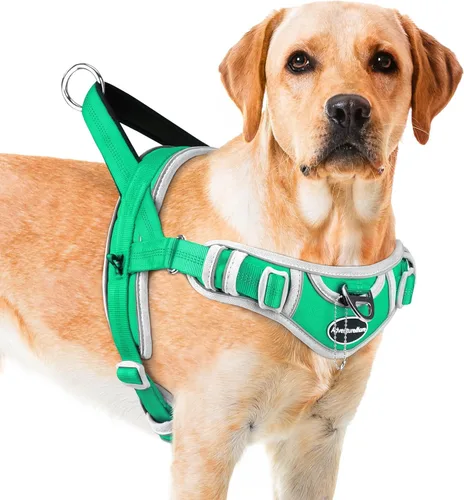 Vista 13 de ADVENTUREMORE Arnés para perro mediano - sin tirones, chaleco reflectante ajustable con asa de clip frontal para entrenamiento y caminata - Negro