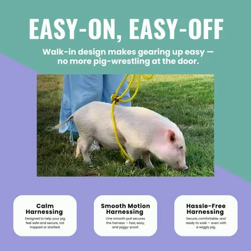 Vista 4 de PORCINE® Arnés y correa para mini cerdo (S/M) – Totalmente ajustable, correa de estilo infinito, arnés de paso, suministros de barriga, todo en uno
