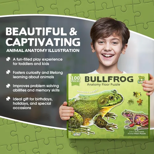 Vista 4 de Bullfrog - Rompecabezas de piso de anatomía animal Rompecabezas de 100 piezas de doble cara Ilustración científicamente precisa de rana de gran