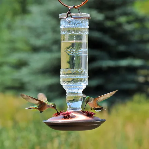 Vista 12 de Perky-Pet Comedero antiguo para colibríes con botella de vidrio – Comedero para colibríes para decoración de jardín al aire libre – 8107-1SR