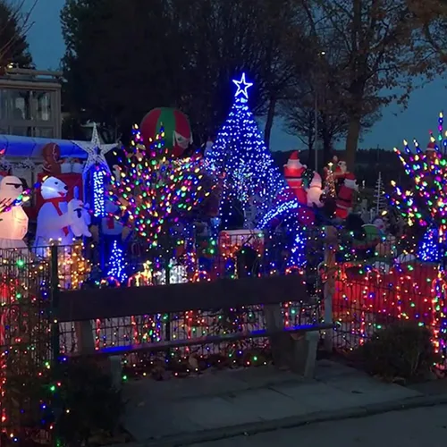Vista 21 de FUNPENY - Paquete de 50 x 2 luces LED de Navidad para uso al aire libre de 16 pies, tira de luces con 8 modos, luces impermeables para árbol