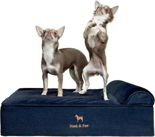 Vista 9 de NOAH & PAW Cama pequeña para perros, 20 x 15 x 6.5 pulgadas, cama para gatos de interior, espuma viscoelástica ortopédica de cáscara de huevo