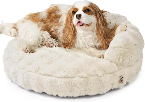 Vista 12 de EHEYCIGA Sofá cama suave para gatos de interior, cama extra pequeña esponjosa para perros con funda extraíble lavable, sofá para mascotas, Crema