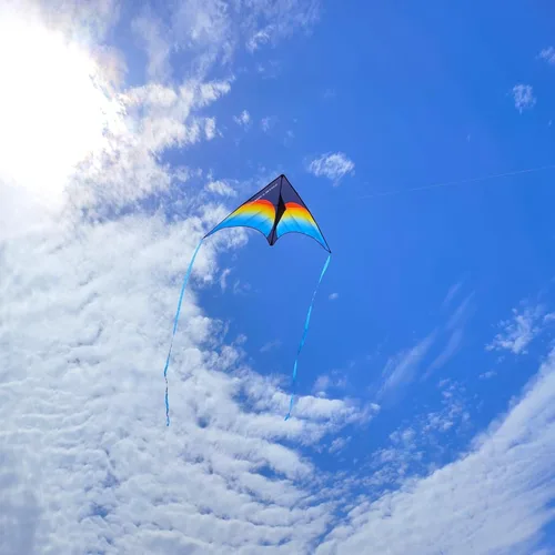 Vista 4 de Large Rainbow Delta Kite for Kids & Adults,Single Line Beach Kite for Kids Ages 4-8 & 8-12,Easy to Fly for Toddlers and Beginners