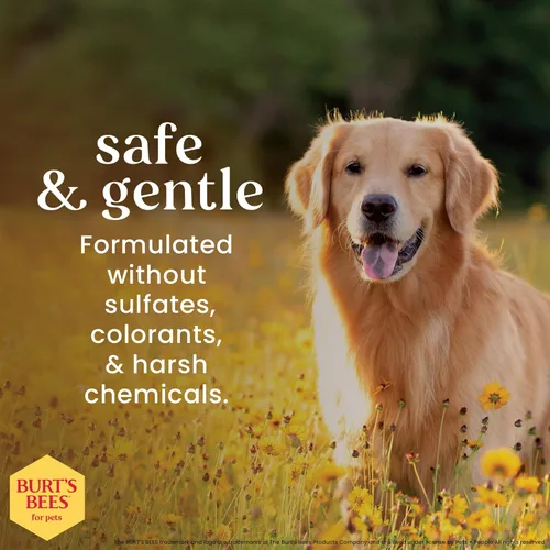 Vista 4 de Burt's Bees for Pets Champú desodorizante para perros con hamamelis, fórmulas de origen 95% natural, champú desodorizante para perros, suave