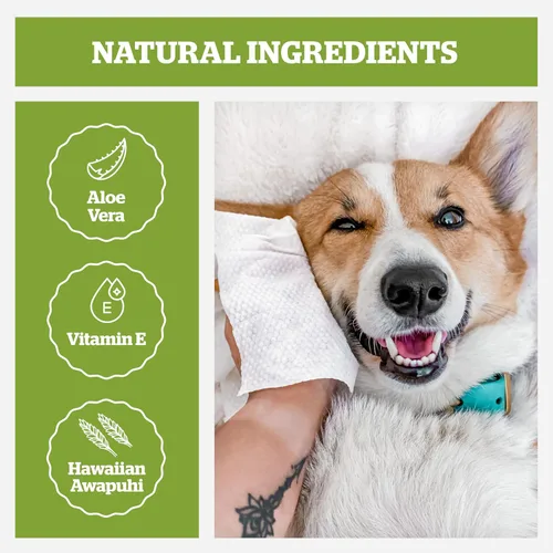 Vista 3 de Pogi's Grooming Wipes, 100 toallitas antisépticas para perros y gatos