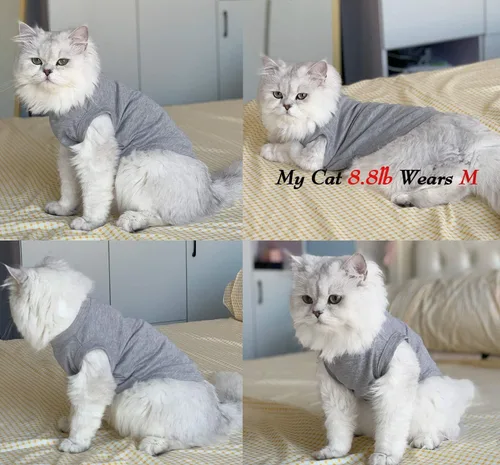 Vista 5 de Camisas para perros, ropa para mascotas, ropa en blanco, 3 piezas, chaleco para cachorro, camiseta sin mangas, trajes suaves y transpirables