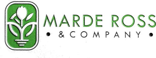 Vista 6 de Semillas de sandía Congo - Variedad de reliquia extra dulce