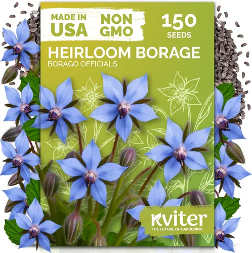 Vista 12 de KVITER 700 semillas de bálsamo de limón para plantar (Melissa Officinalis) - Semillas de hierbas medicinales orgánicas y tradicionales - Cultivar