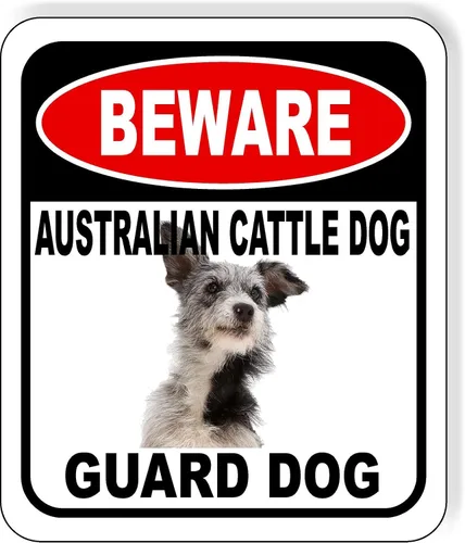 Vista 153 de BEWARE BASSETT HOUND GUARD DOG - Letrero compuesto de aluminio para exteriores, 8.5 x 10 pulgadas
