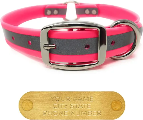Vista 25 de Regal Dog Products Collar de perro reflectante negro pequeño con placa de nombre grabada personalizada y anillo central resistente Collares
