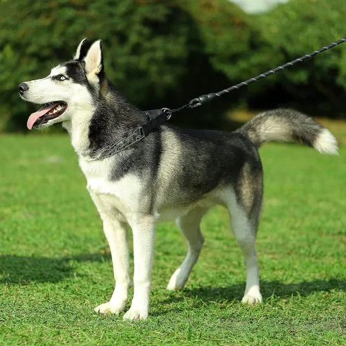Vista 6 de CBBPET Collar de punta para perro, collar de entrenamiento ajustable para perros con hebilla de liberación rápida para perros pequeños, medianos