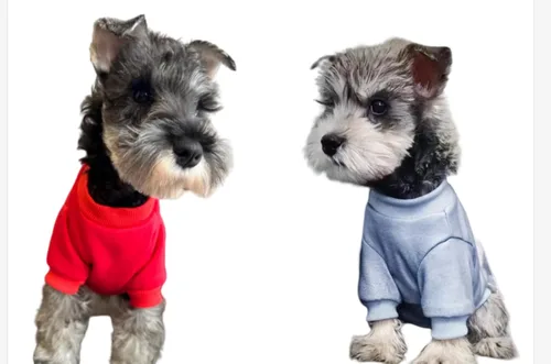 Vista 8 de Suéteres para gatos, camisetas de algodón para gatos sin pelo, ropa para mascotas, camisetas de gatito con mangas, ropa para gatos y perros pequeños