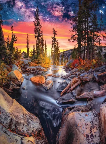 Vista 2 de Buffalo Games - Earthpix - Forest Magic Hour - Rompecabezas de 1000 piezas para adultos - Rompecabezas desafiante perfecto para noches de juego