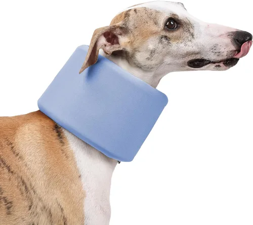 Soporte de cuello para perro para mascotas, recuperación después de la cirugía, ajustable, transpirable, cuello cervical, cono de recuperación, cono