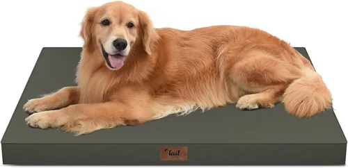 Vista 68 de Cama para perros y gatos pequeños, impermeable, para jaula de huevos, espuma ortopédica con funda Oxford lavable y extraíble, color verde Amy