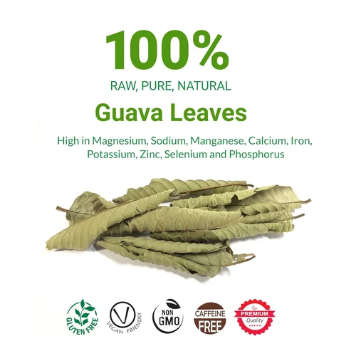 Vista 2 de Hoja de guayaba Secas de 10.4 onzas, hojas secas de guayaba, hojas naturales, hoja de guayaba seca, té de hojas aromáticas, sin OMG, sin cafeína