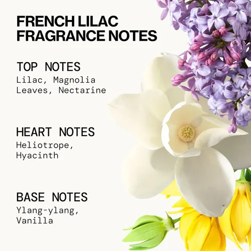 Vista 9 de Pacifica Beauty, Wanderlust - Juego de prueba de perfume en aerosol, vainilla isla, 5 aromas, juego de regalo de muestra de fragancia, aceites