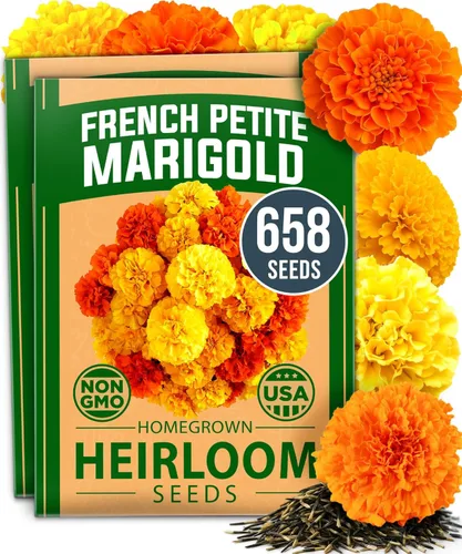 Vista 68 de 32 semillas de verduras y frutas tradicionales para plantar - Más de 16,000 semillas Bóveda de semillas de supervivencia sin OMG Alta