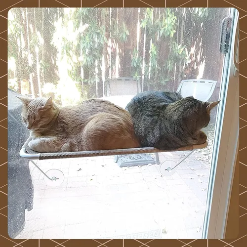 Vista 3 de Percha de seguridad para ventana de gato, con soporte inferior de 360 °, para cualquier gato
