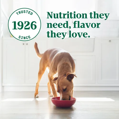 Vista 9 de NUTRO Ultra - Filetes de comida húmeda para perros adultos sin granos en salsa con tomate y un toque de albahaca, (24) bandejas de 3.5 onzas