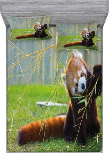 Vista 220 de Ambesonne - Juego de sábanas bajeras y fundas de almohada, diseño primaveral de acuarelas con jardín de hierbas y flores, juego de 4 piezas