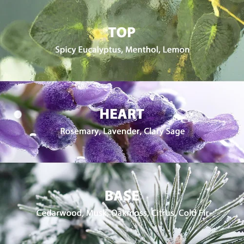 Vista 3 de Juego de Difusor de Aromas con Varillas, Difusor Aromático con Varillas para Fragancias del Hogar, Difusor de Aromas para Decoración de Estanteria