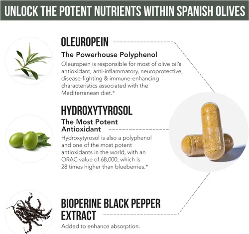 Vista 6 de Total Olive® - Extracto de hoja de olivo (40% oleuropeína) más extracto de fruta de oliva (20% hidroxitirosol) - Extracto de espectro completo