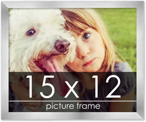 Vista 171 de Marco de madera de peltre plateado de 3 x 4 pulgadas, acrílico UV, respaldo de tablero de espuma y accesorios para colgar, marco de 3 x 4 pulgadas