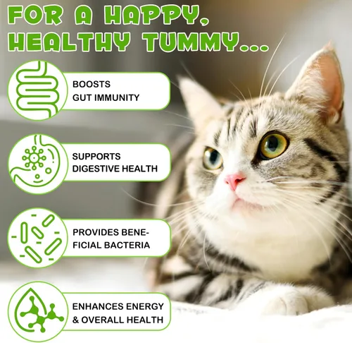 Vista 4 de Probióticos para gatos líquidos, probióticos para gatos, suplemento de probióticos 3 en 1 para gatos con enzimas prebióticas y digestivas Apoya