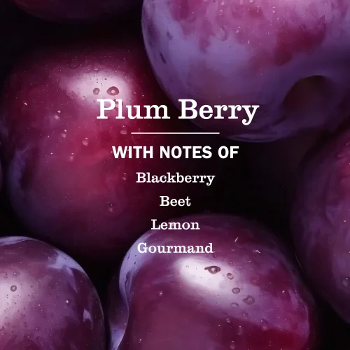 Vista 3 de Mrs. Meyer's Clean Day - Jabón líquido para manos, libre de crueldad y biodegradable, hecho con aceites esenciales, aroma de baya y ciruela, 354 g