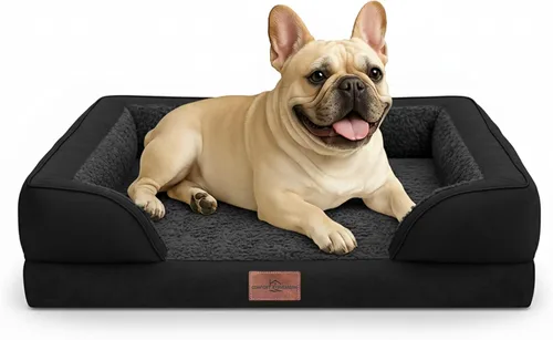 Vista 74 de Comfort Expression - Cama ortopédica para perros medianos de 30x20 pulgadas, cama impermeable de espuma de huevera para mascotas medianas