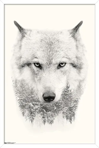 Vista 12 de Trends International Póster de pared de lobo - árboles, 14.725 x 22.375 pulgadas, versión enmarcada de madera de granero Versión enmarcada Barnwood