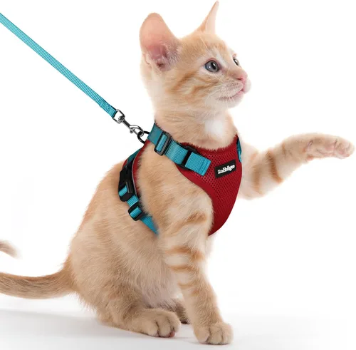 Vista 90 de rabbitgoo Arnés y correa para gatos para caminar, chaleco suave ajustable a prueba de escape para gatos, chaqueta de control fácil transpirable
