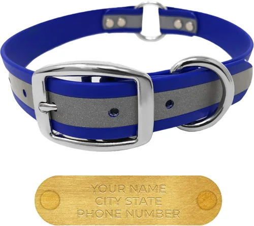 Vista 26 de Regal Dog Products Collar de perro reflectante negro pequeño con placa de nombre grabada personalizada y anillo central resistente Collares