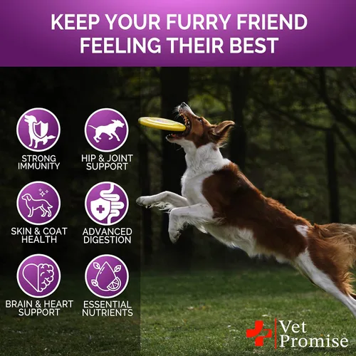 Vista 4 de (Paquete de 2) Multivitamínico masticable para perros con glucosamina - Vitaminas y suplementos para perros - Multivitamínico para perros senior