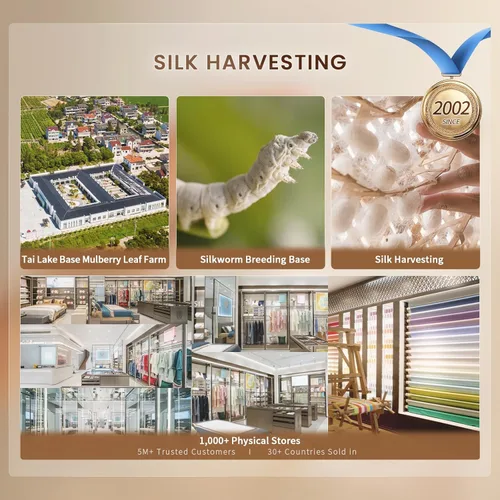 Vista 9 de THXSILK Juego de sábanas de seda de 4 piezas, sábanas de seda de morera 100% natural de grado superior 6A+, juegos de ropa de cama de lujo, ultra