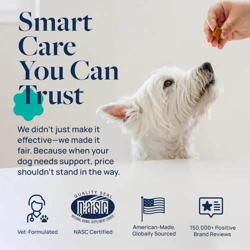Vista 6 de Veterinary Formula Suplemento de salud intestinal para perros - Masticables probióticos formulados por veterinarios con enzimas digestivas y fibra