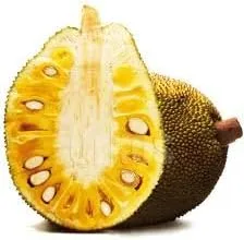 Jackfruit entero fresco, una fruta 5-7 libras